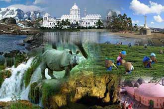all India travel & tour package