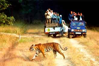 North India wildlife tour